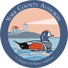 YorkCountyAudubon